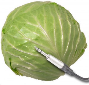 cabbage_cable