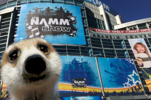 namm_meerkat